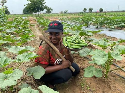 Biochar in Agriculture tweet media