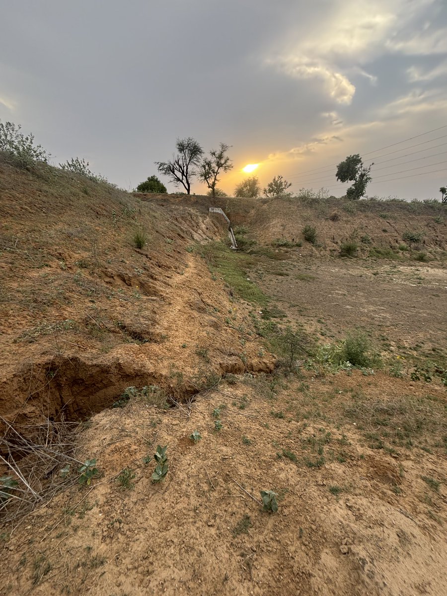 HR35WALA tweet media