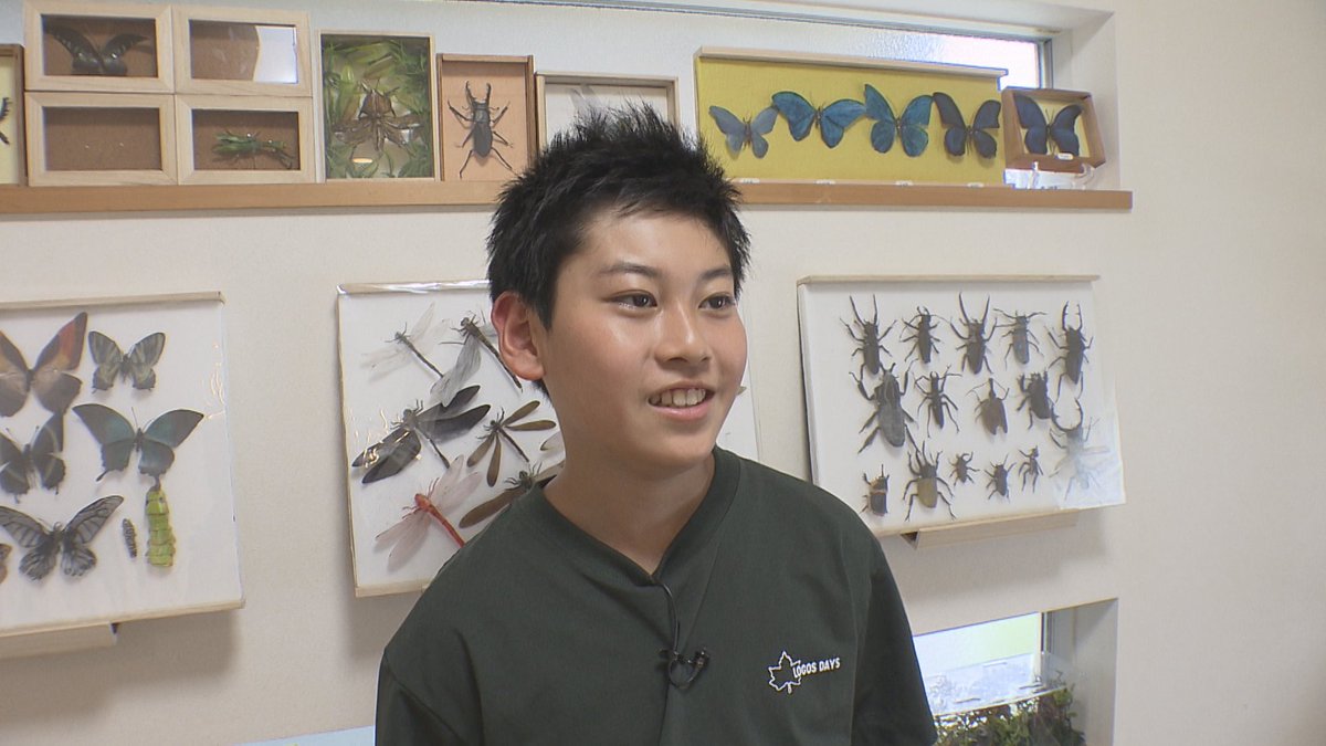 pint_nbc's tweet image. 4/30(木) #NBC #Pint 
👧こどもにPint👦
#切り折り紙 でリアルな昆虫を作り出す✂
スゴ技小学生が登場✨
🏝️島の社長がいく🏝️
顧問が地方ビジネスの本を出版📖
#長崎 #nagasaki