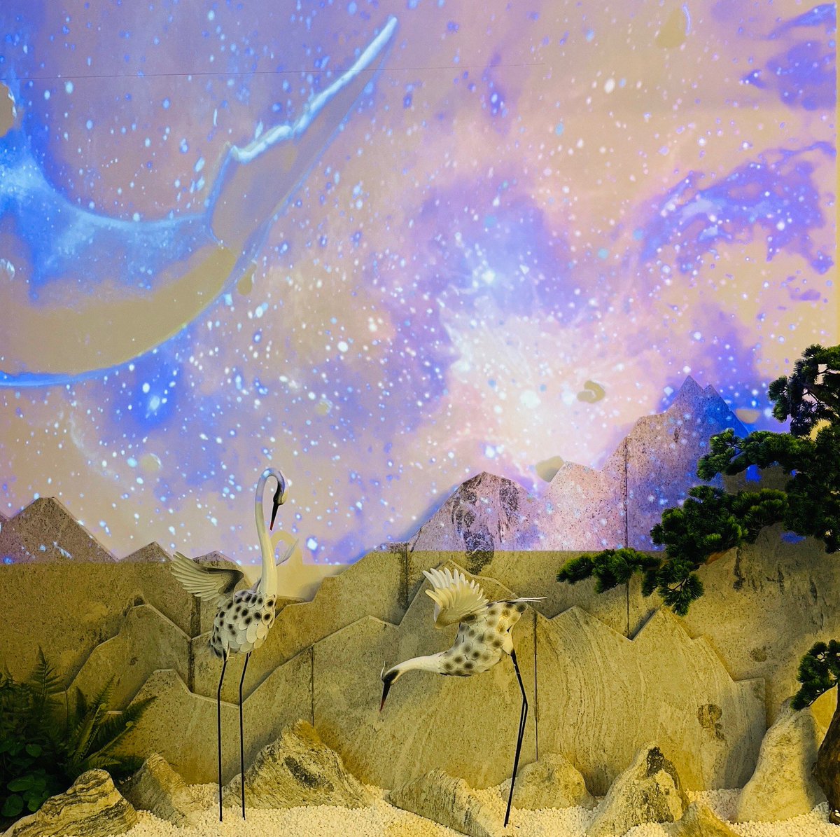 sait tekin tweet media