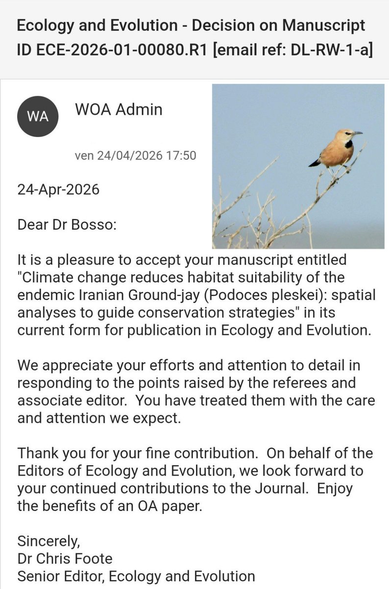 BossoLuciano's tweet image. Even in times of war, we remain focused on saving an iconic Iranian endemic species threatened by climate change, among other factors. Stay tuned! 😍

#bird #conservation #animal #wildlife #species