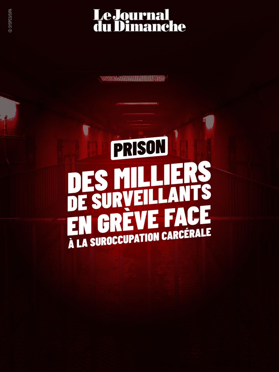 Le JDD tweet media