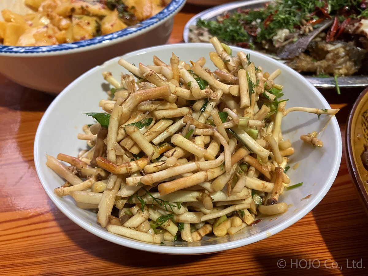 お茶の専門店HOJO tweet media