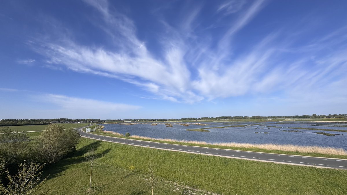 weerverteller's tweet image. De zon, erg droge lucht en een sterk vlagerige wind. Dat is waarmee we in het Nederlandse weer de komende dagen geconfronteerd worden. Het brandgevaar is groot. weerverteller.nl/verhalen/erg-d… #lente #lenteweer #lente2026 #droogte #brandgevaar

Foto: Jolanda Bakker