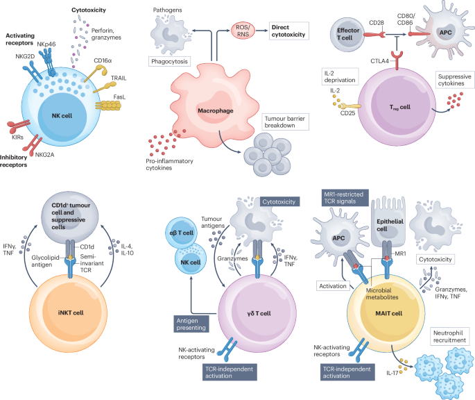 Nature Reviews Bioengineering tweet media