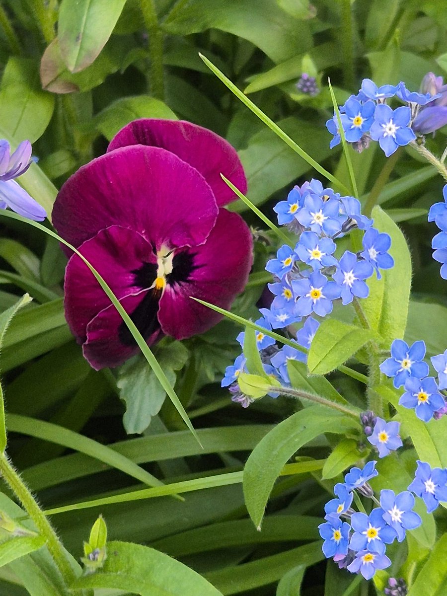 VodkaWardrobe's tweet image. Good morning ☕️ 
#Tuesdaymorning #TuesdayMotivaton