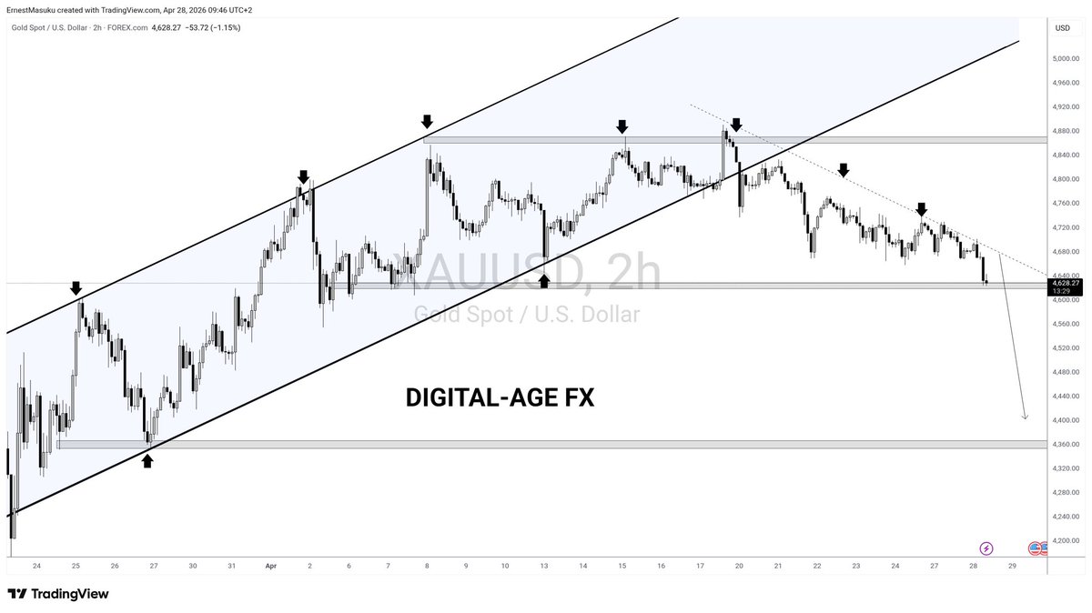 Digital-Age FX tweet media