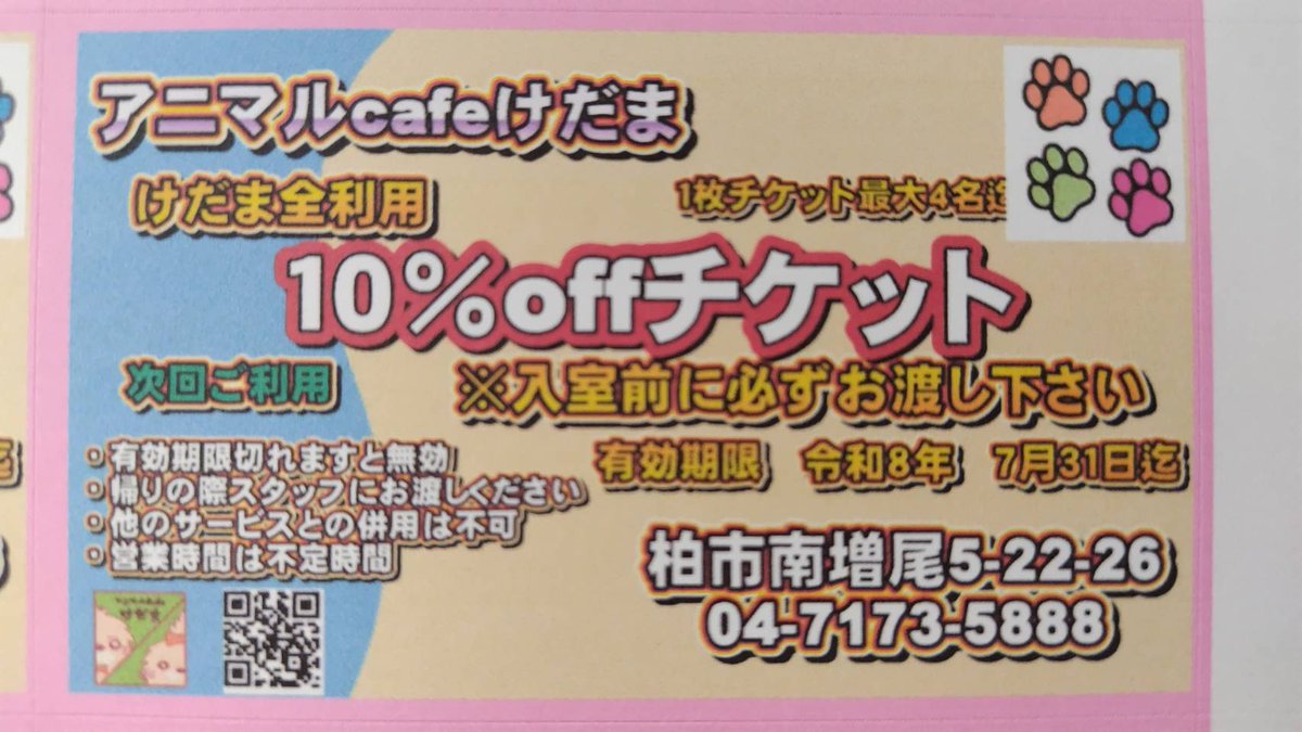アニマルカフェけだま【貸切ふれあいのため予約制】 tweet media
