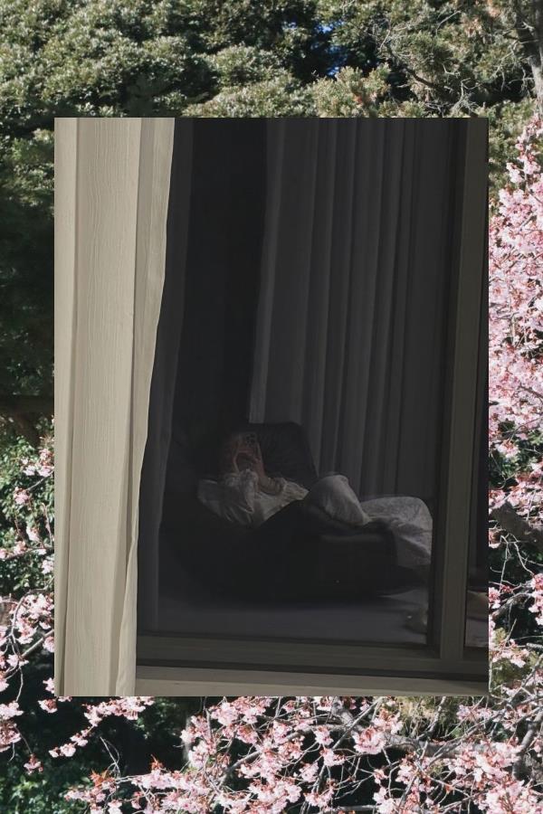 Sean Brodhacker tweet media