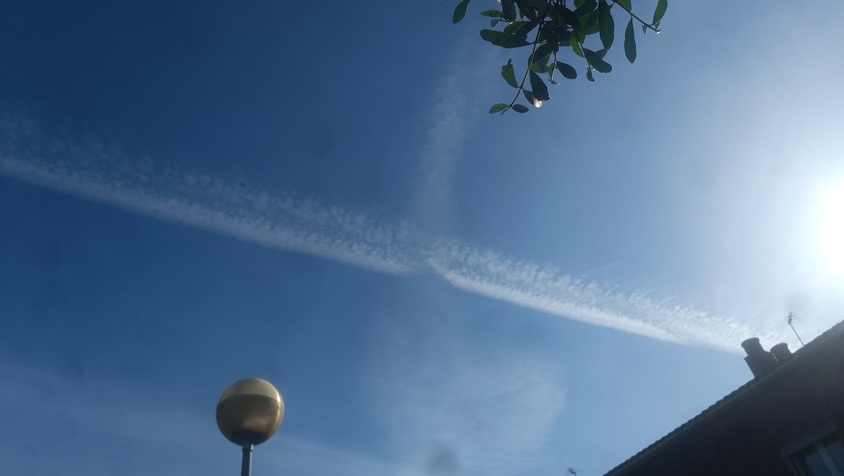 Magda Nega tweet media