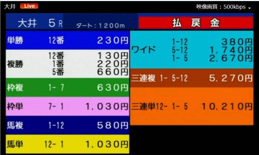 浅田駿の競馬道 tweet media