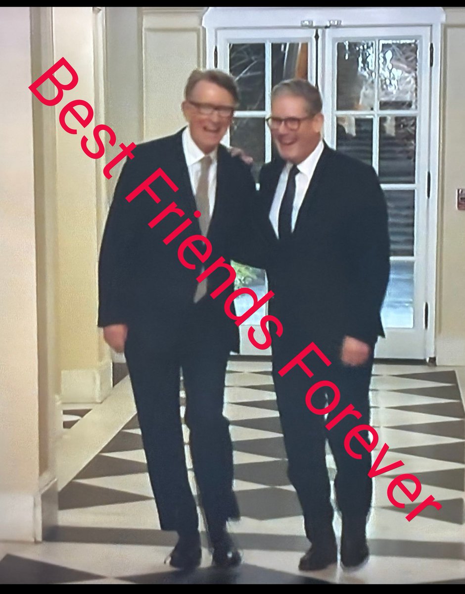 David Webb tweet media