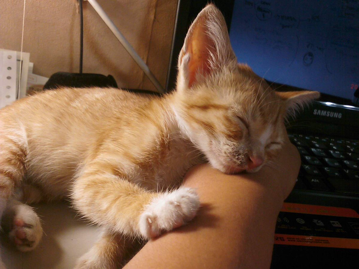 Thor'sDay(🐥) tweet media