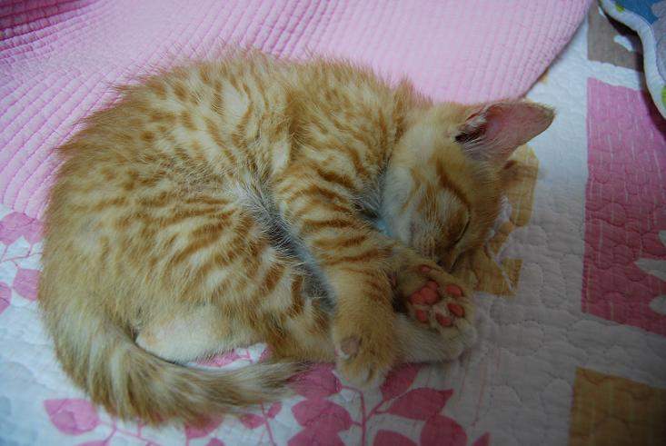 Thor'sDay(🐥) tweet media