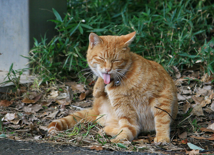 Thor'sDay(🐥) tweet media