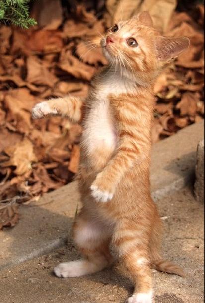 Thor'sDay(🐥) tweet media