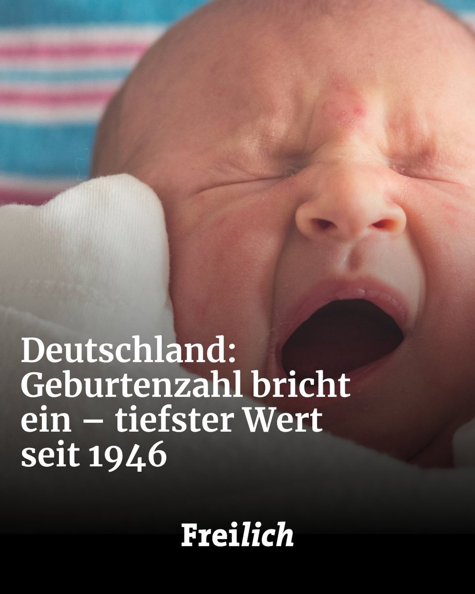Freilich Magazin tweet media