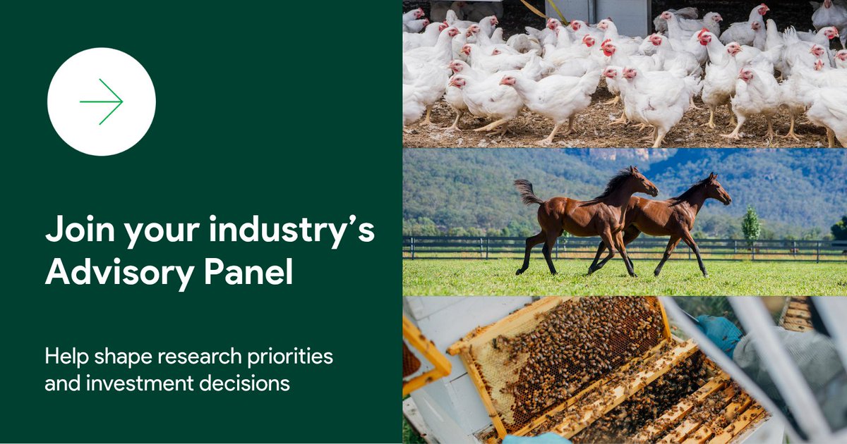 AgriFutures Australia tweet media