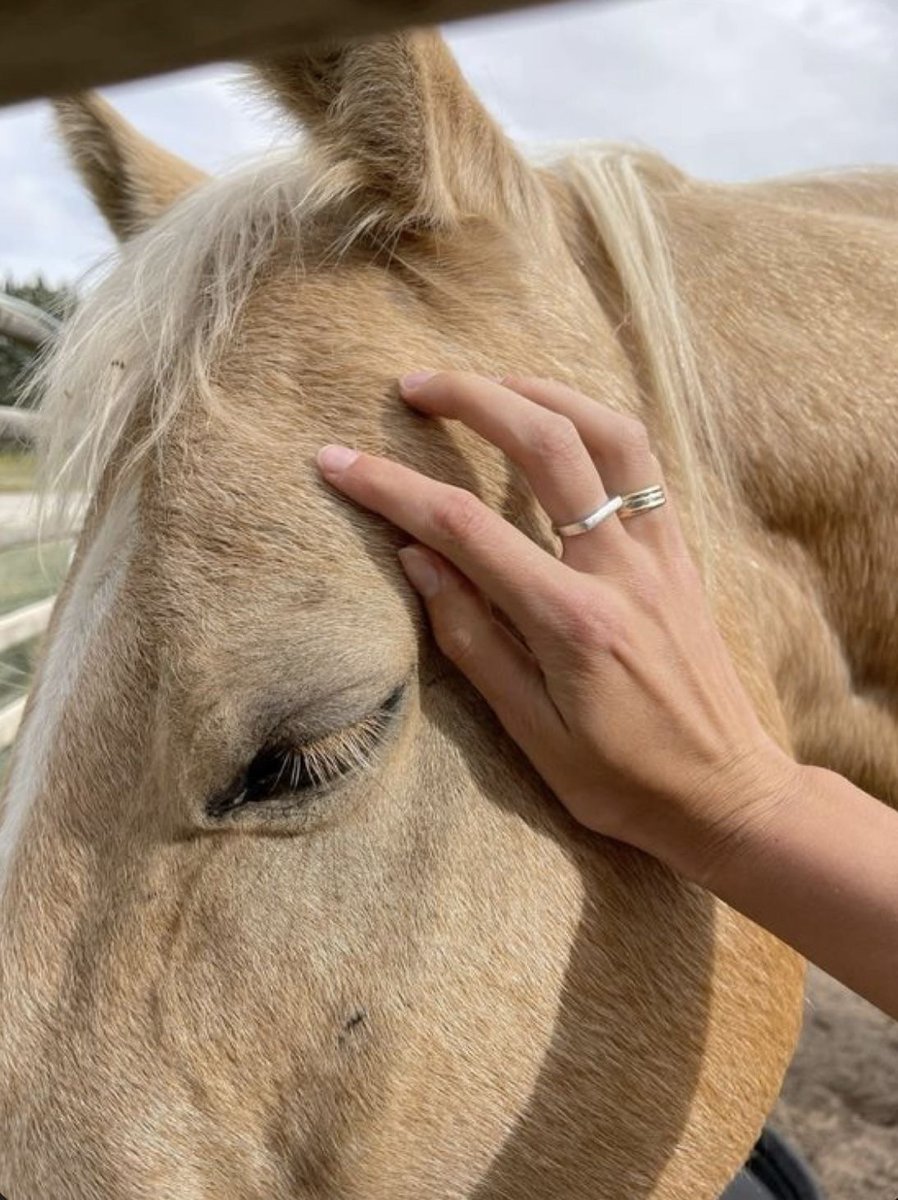 سُمْوُّ الْمَعَآلِي🇸🇦 tweet media