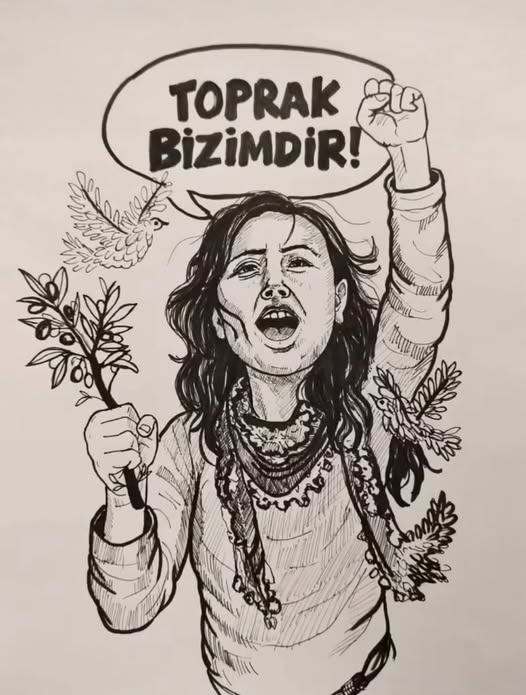 Hasan Akbaba tweet media