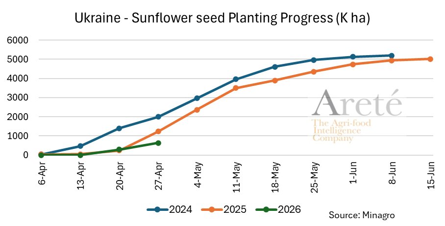 mkt_intl's tweet image. #Ukraine🇺🇦 planting progress as of Apr 27th: 
  ▪️ #sunflower 🌻: 636K ha (-49%)
  ▪️#soybean 🌱: 93K ha (-50%)
  ▪️#sugar #beet 🥬: 163K ha (-29%)
