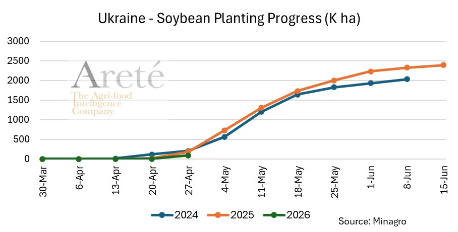 mkt_intl's tweet image. #Ukraine🇺🇦 planting progress as of Apr 27th: 
  ▪️ #sunflower 🌻: 636K ha (-49%)
  ▪️#soybean 🌱: 93K ha (-50%)
  ▪️#sugar #beet 🥬: 163K ha (-29%)
