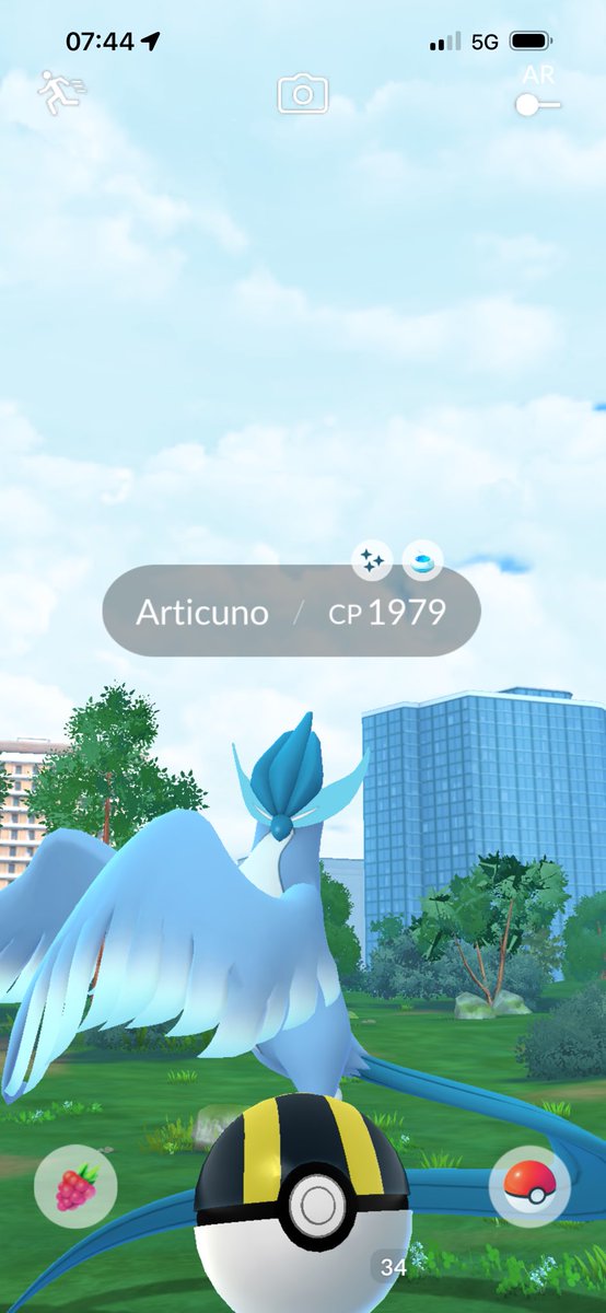 smc_cards's tweet image. When the walk to work in the morning finally pays off 🥳

#Pokemongo #Pokemon #Shiny #GalarianBird #Articuno