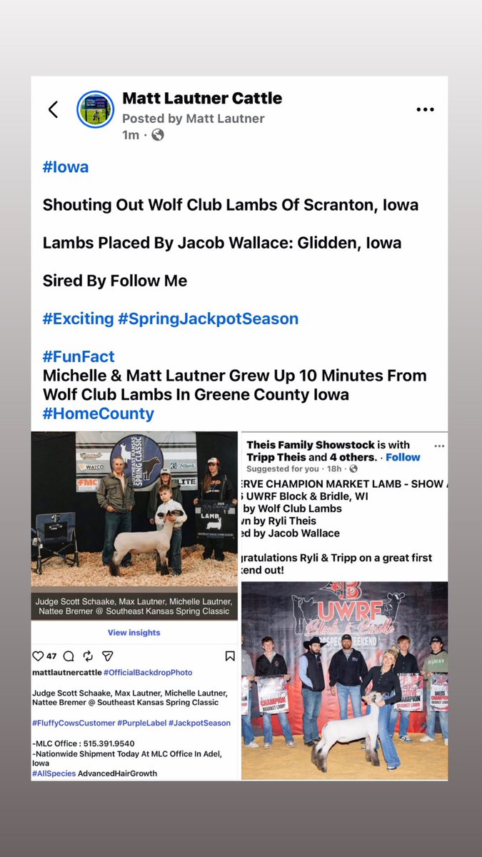 mattlautner's tweet image. #Iowa 

Shouting Out Wolf Club Lambs Of Scranton, Iowa 

Lambs Placed By Jacob Wallace: Glidden, Iowa

Sired By Follow Me 

#Exciting #SpringJackpotSeason

#FunFact 
Michelle &amp;amp; Matt Lautner Grew Up 10 Minutes From Wolf Club Lambs In Greene County Iowa #HomeCounty