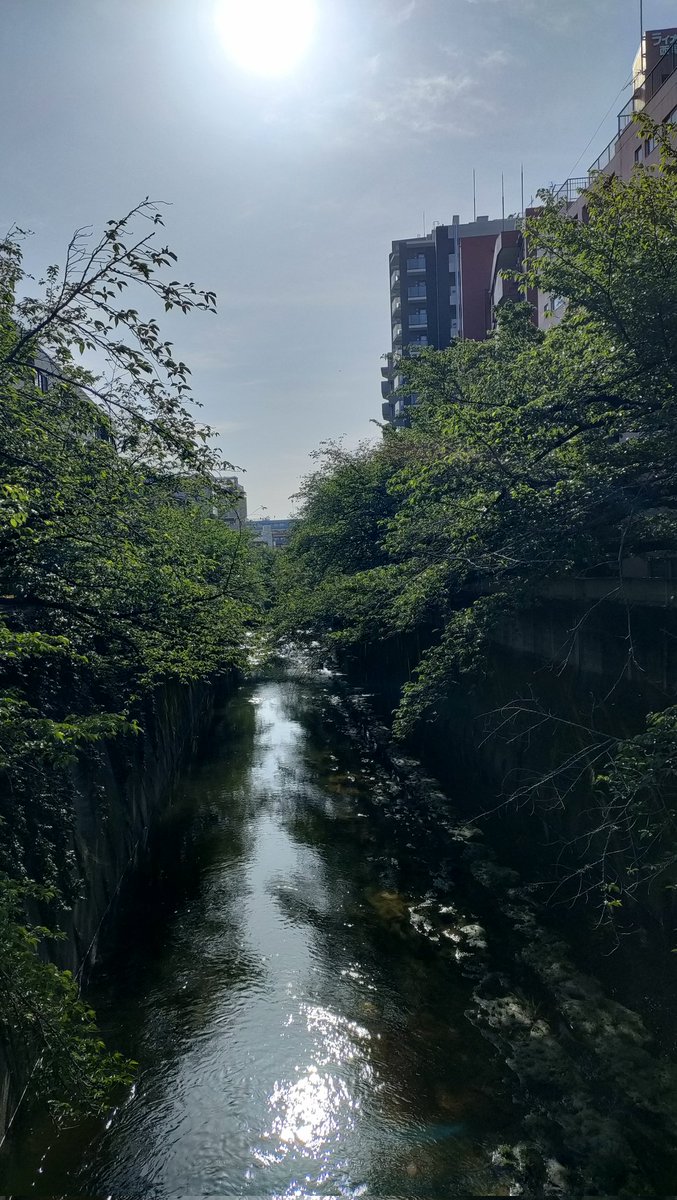 25th【スタジオイブキ】モーションキャプチャースタジオ tweet media