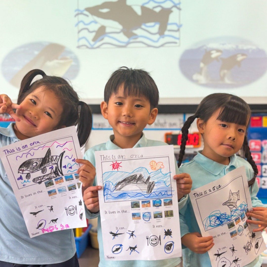 K. International School Tokyo tweet media