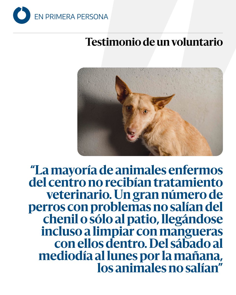 elDiario.es tweet media