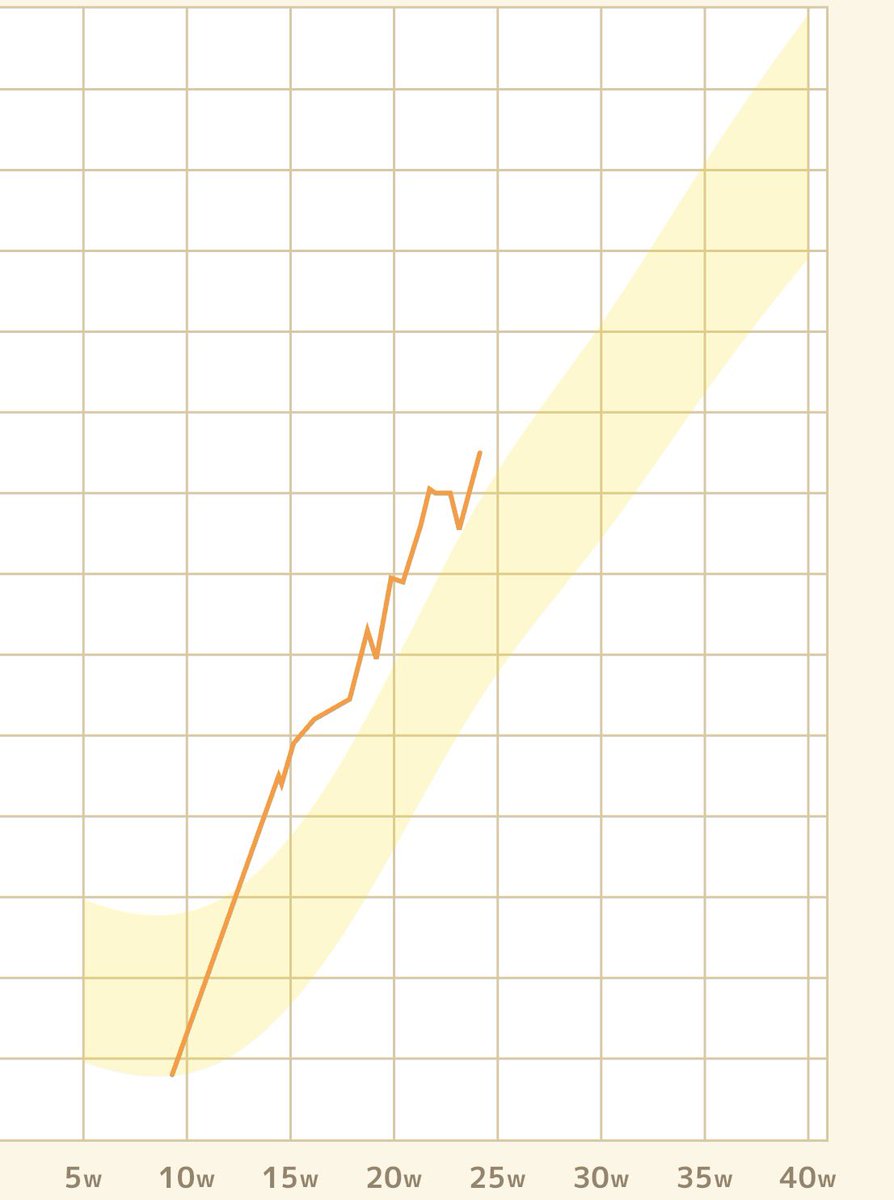 あち☺︎🦕24w tweet media