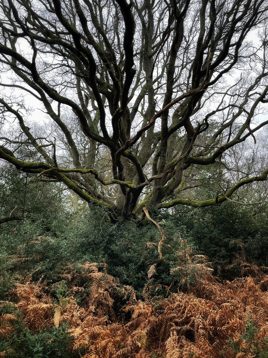 Tom (ablokecalledtom) tweet media