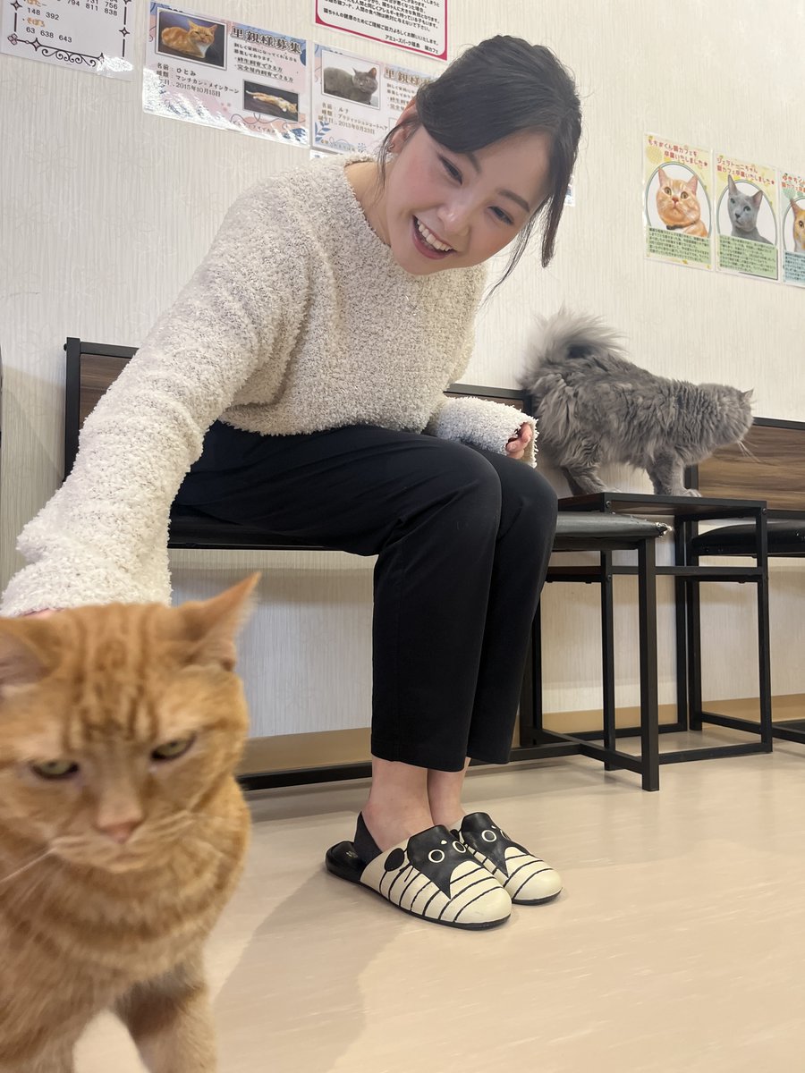 ステップ tweet media