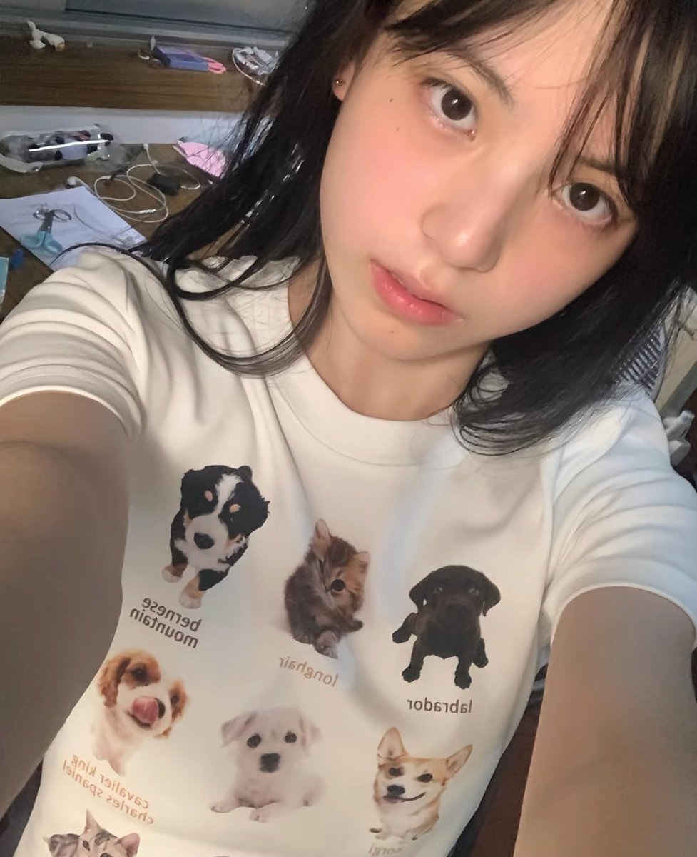 ACisprdks's tweet photo. 日照萌新小美，性格比较��动，是个乖乖女，很会提供情绪价值 #日照 越 https://t.co/RYTlTIyf8c