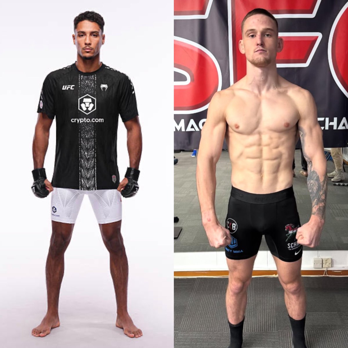 MMA Orbit tweet media