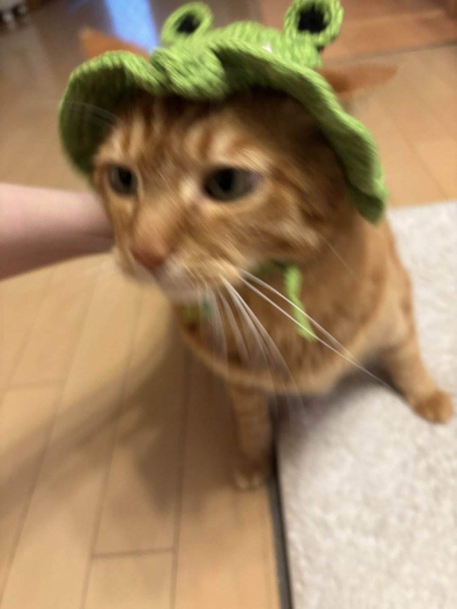 ににまる‎ tweet media