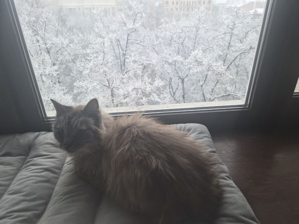 Tara Reade 🐎 tweet media