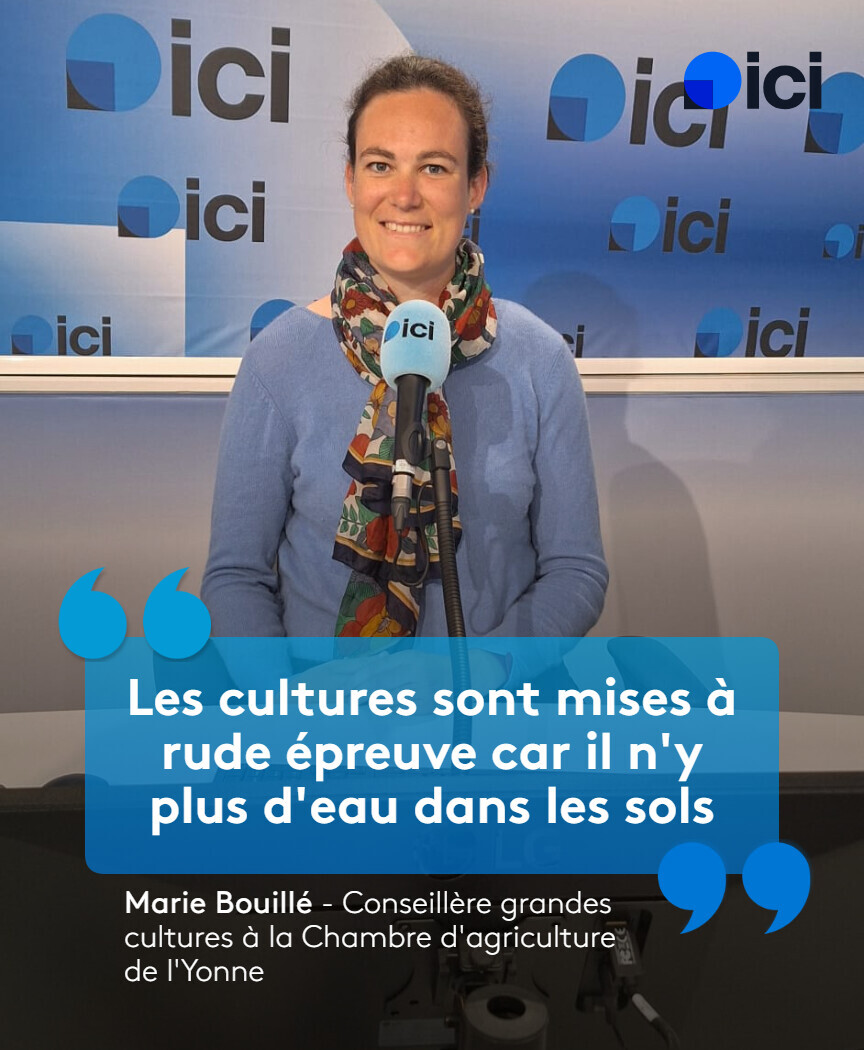 ici_auxerre's tweet image. Un rendement dégradé dans les cultures de l'Yonne en raison du manque de pluie
➡️ l.ici.fr/jBA7
