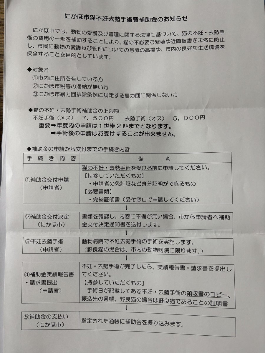 こぶちゃ🐈 tweet media