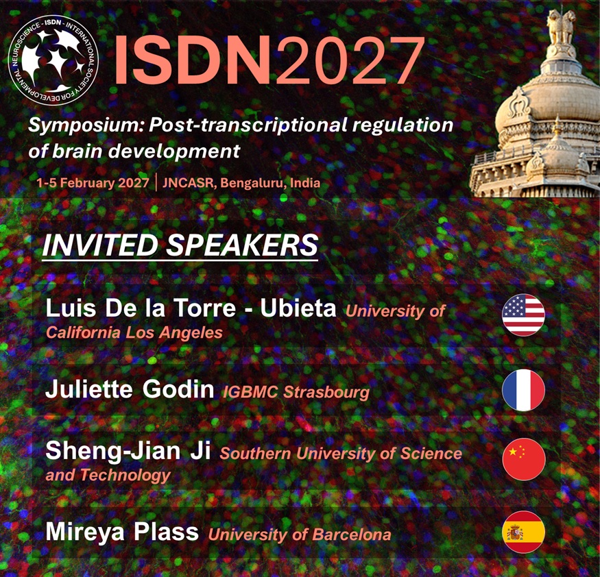 ISDNConference's tweet photo. 📢Announcing the #ISDN2027 invited speakers in the symposium on post-transcriptional regulation on #brain #development.

@LTULab - @UCLA
@JGodinLab - @IGBMC
Sheng-Jian Ji - @SUSTechSZ 
@miriplass - @UniBarcelona https://t.co/Y0OniX2ybl