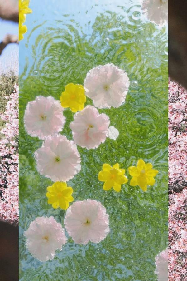 Sean Brodhacker tweet media