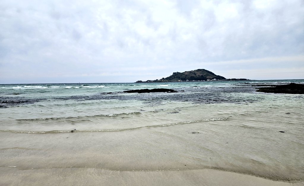 메인트 커뮤홍보) ℕ𝕀ℝ tweet media