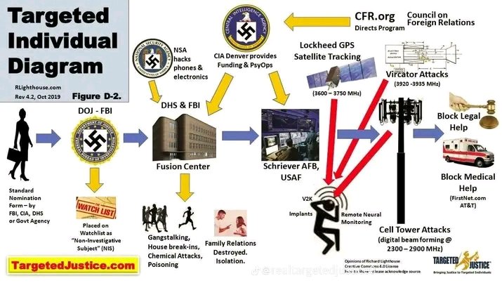 Lola 🧠🎯 tweet media