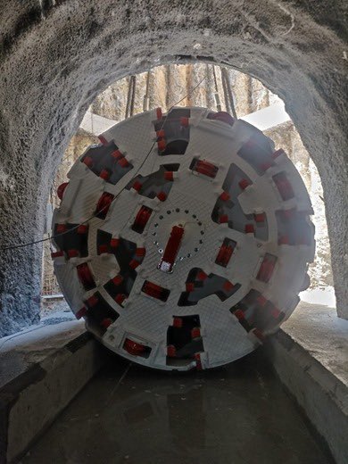 Doç. Dr. Şafak Başa tweet media