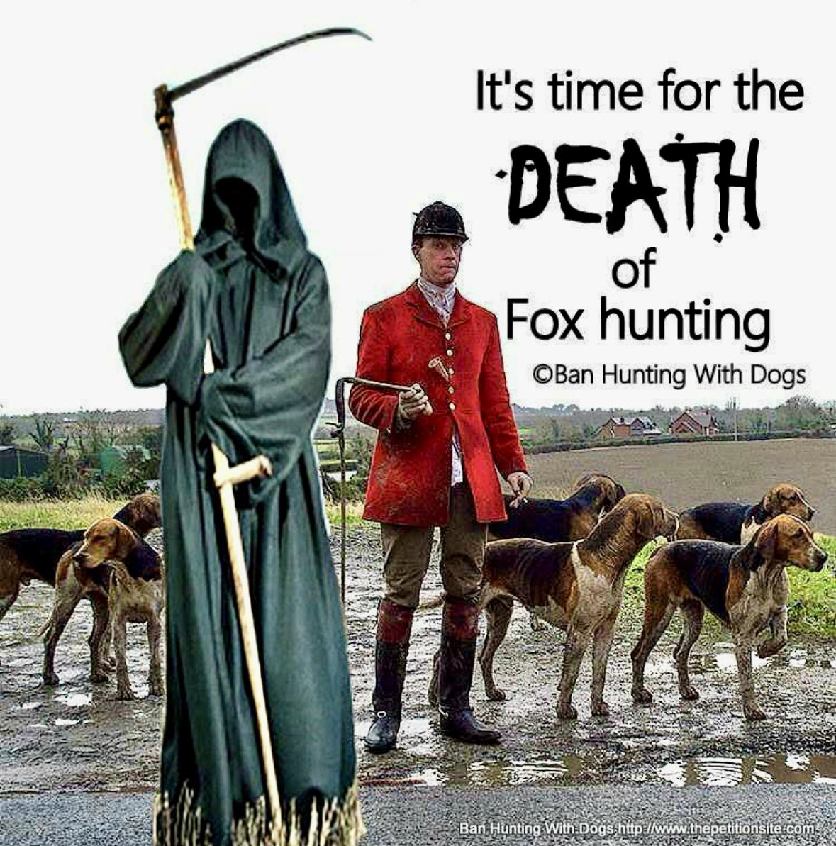 Barbara Small tweet media