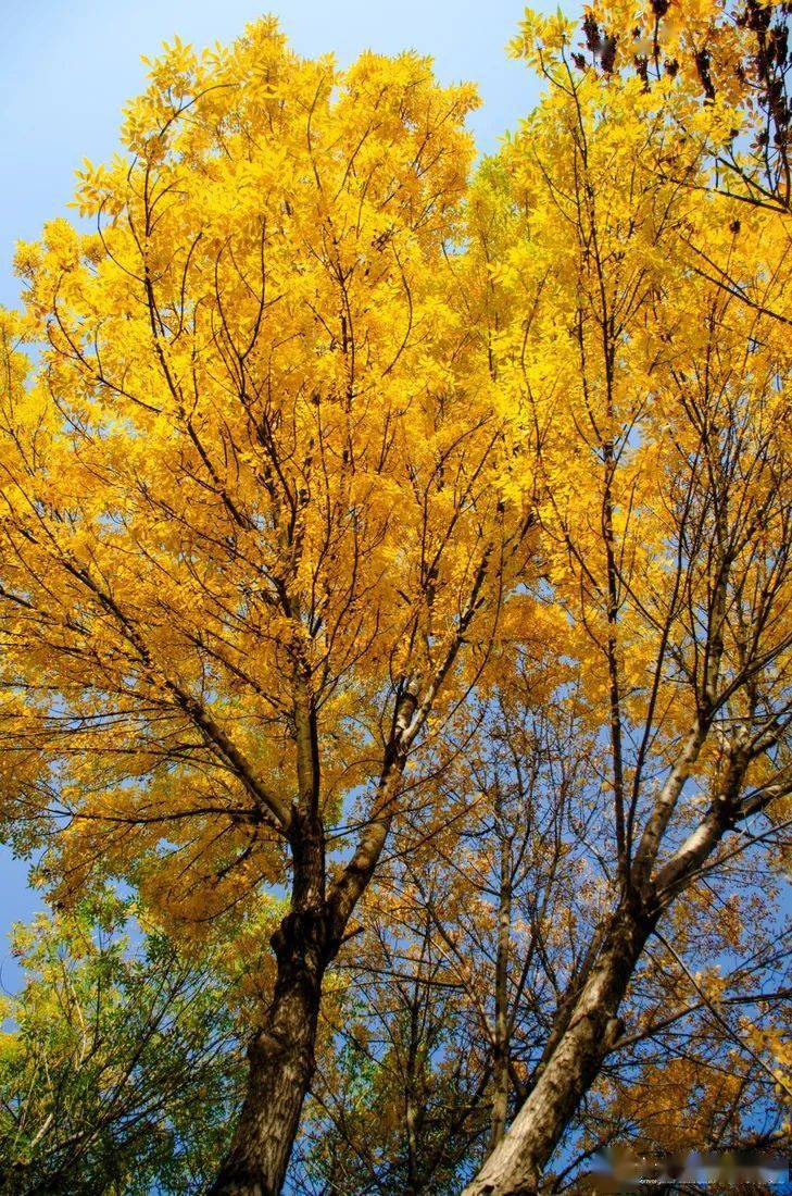 WILFART PASCALINE tweet media