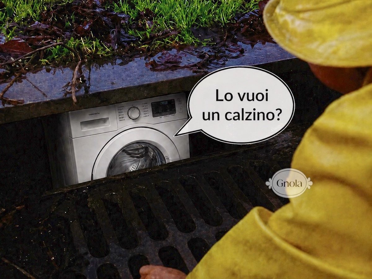 IT  

 #cinepuglisi