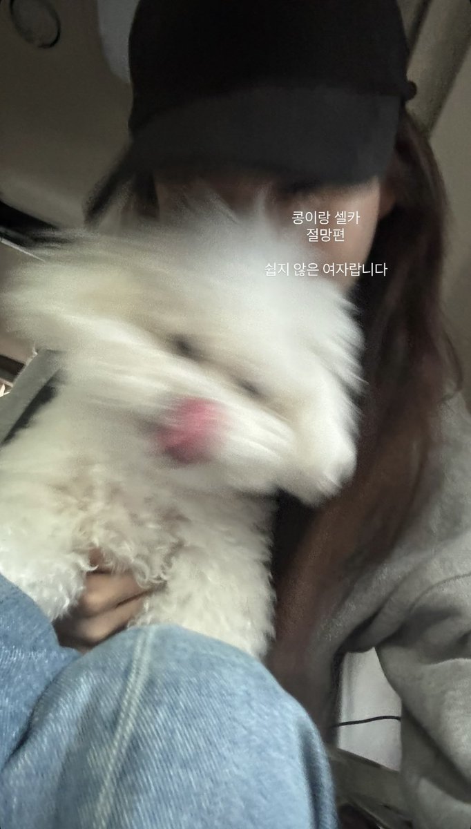 quietcircleee's tweet image. Heesun #singlesinferno5 Instagram story update

“Presentation over 🐶”
“A selfie with Kong…
(this is the “struggle version”)
I’m not that easy, you know~”