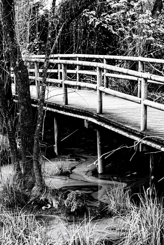 joypa98's tweet image. Sendero
#hacerfotos